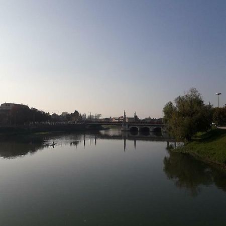 Room Garden Padova Dış mekan fotoğraf